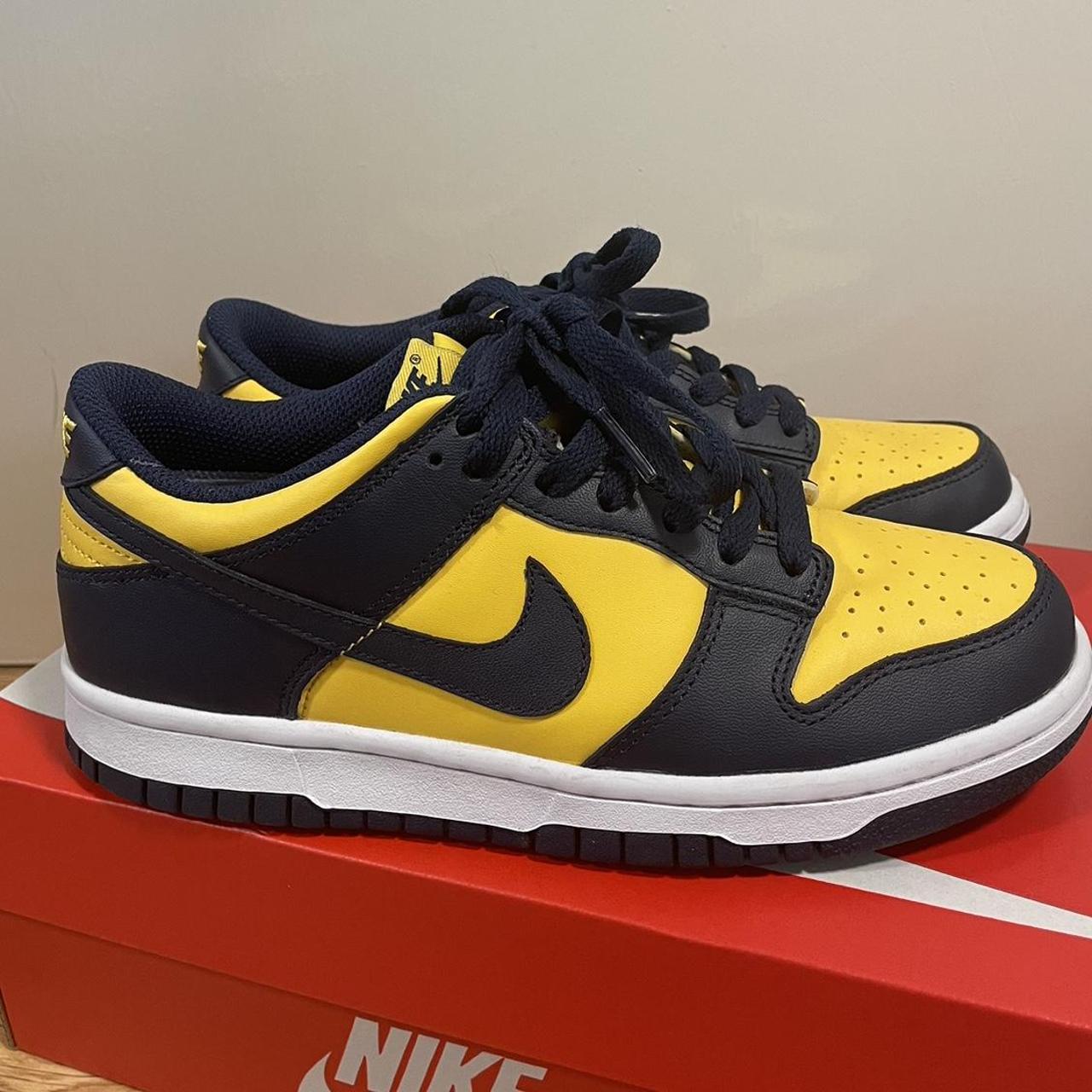 gs michigan dunks