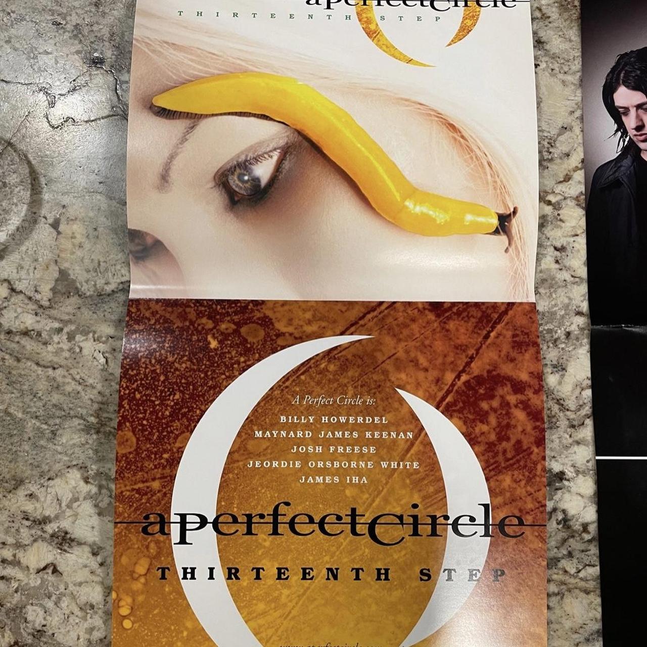 A Perfect Circle - Thirteenth Step promo | Depop