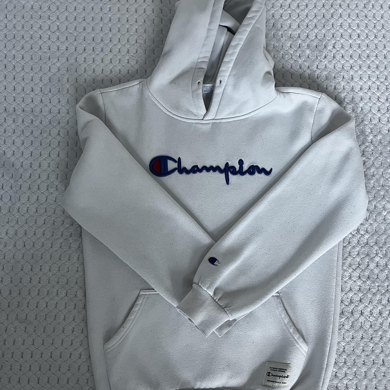 Champion hot sale hoodie price