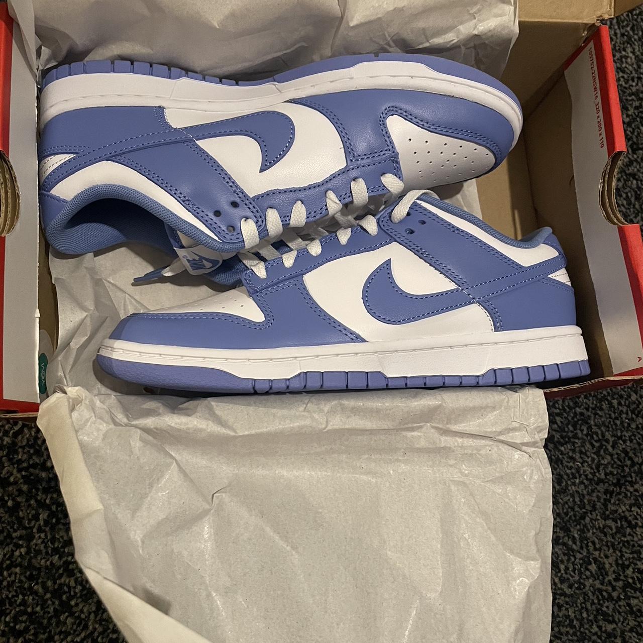 nike dunk blank