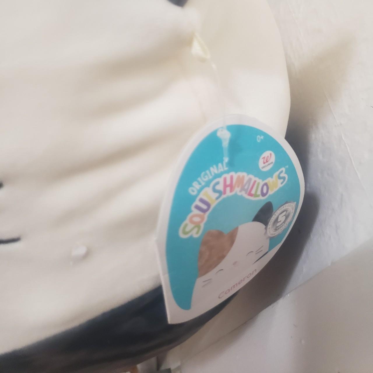 Cameron the calico cat squishmallow, walgreens five... Depop