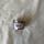 item listed by cindyyl