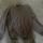 item listed by zah316577
