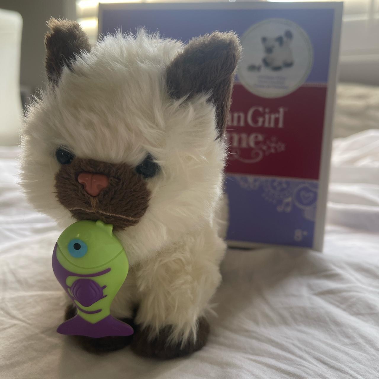 American girl shop himalayan kitten