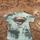 item listed by willis_thrifts