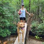 alishabbentley's profile picture