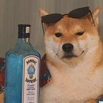 kikimarzipan's profile picture