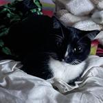 daisylouhoo's profile picture