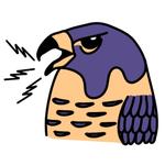 hawksandhandsaws's profile picture