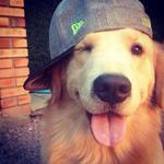 ryysvintage's profile picture