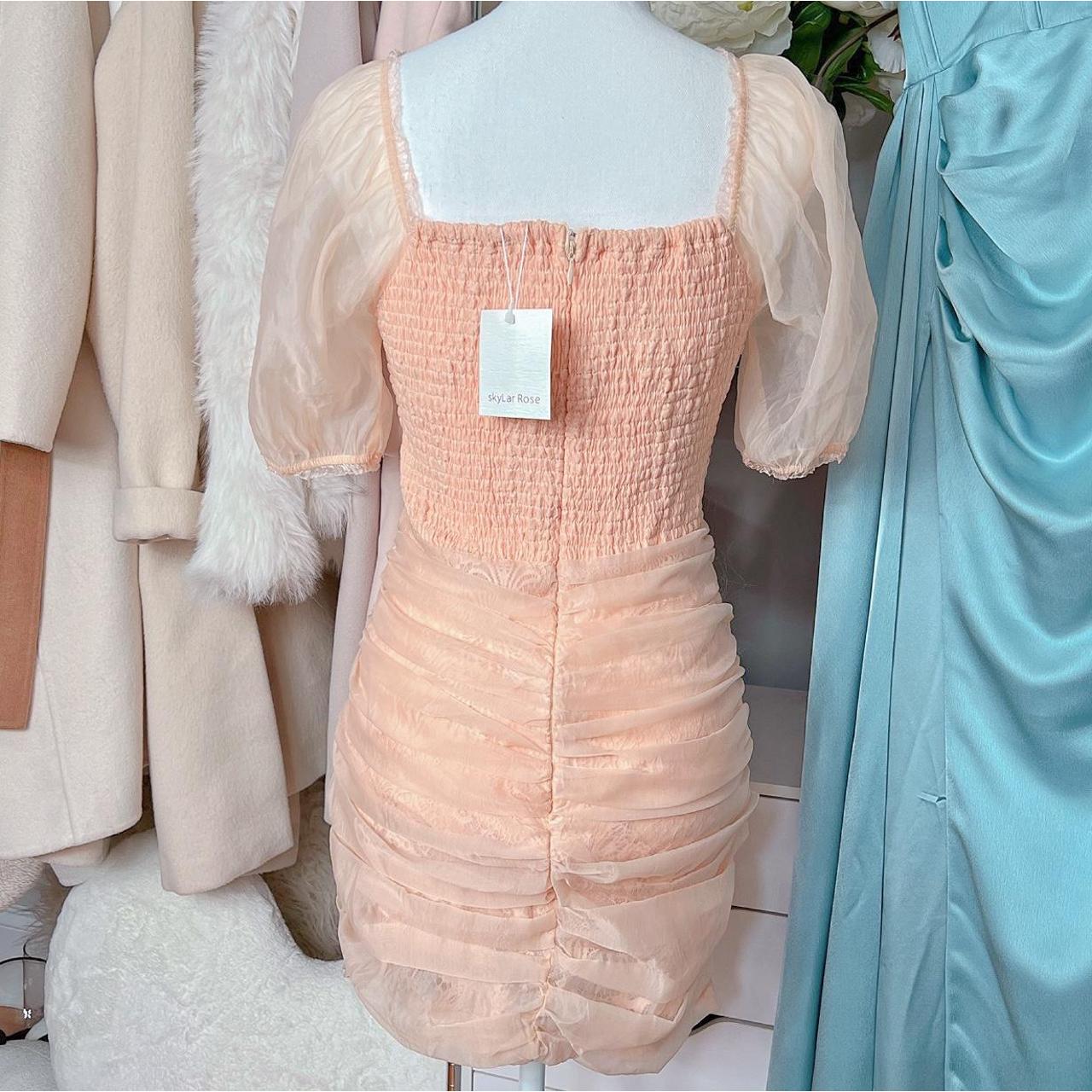 Skylar Rose Organza Mini Dress in Pink Blush