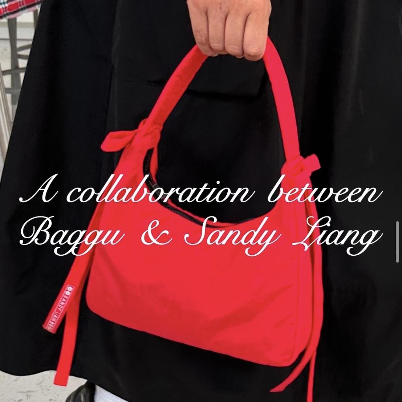 Sandy Liang x baggu holiday limited edition candy... - Depop