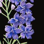 steamycupoftea's profile picture