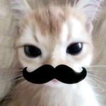 playboifarti_774's profile picture