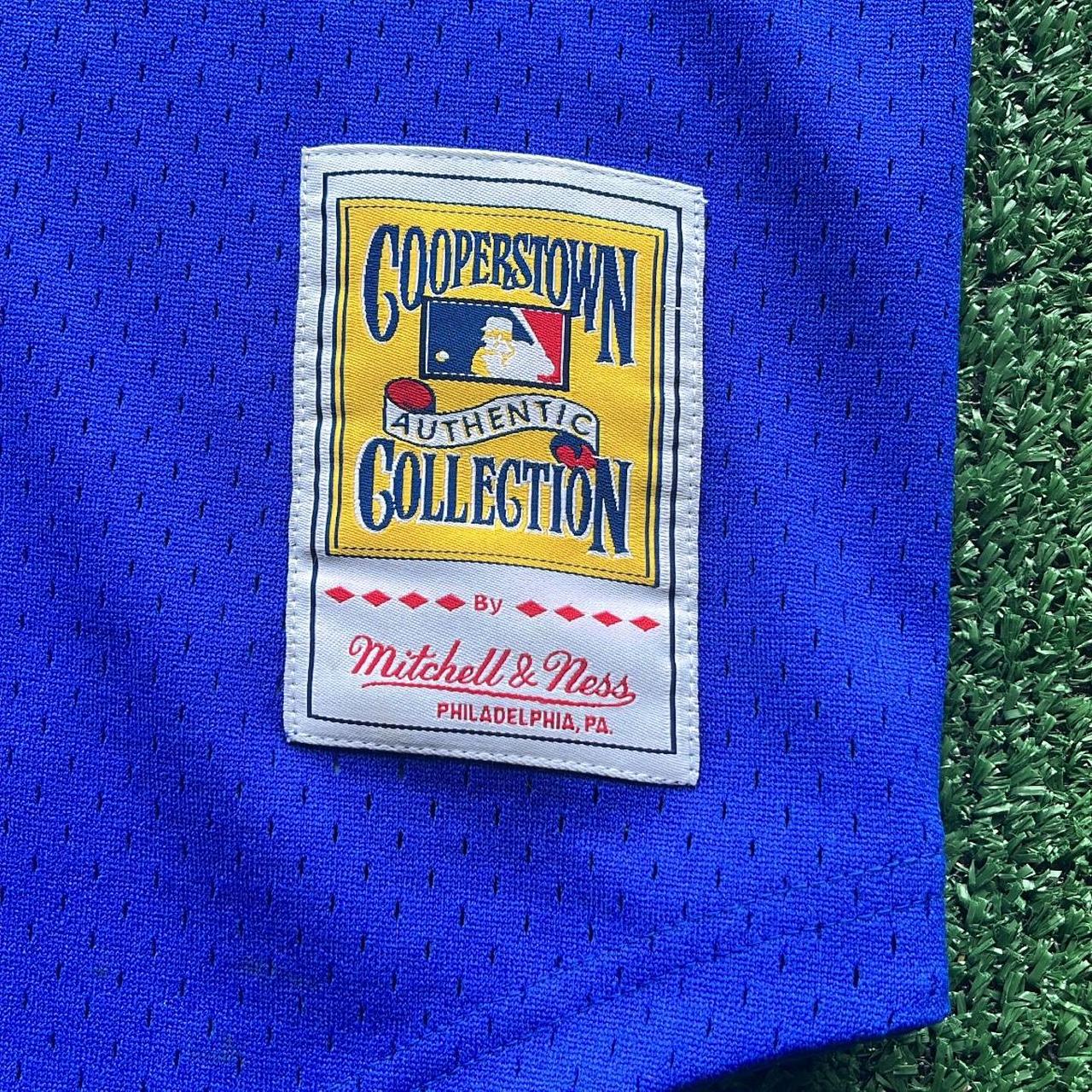 Mitchell & Ness Toronto Blue Jays #29 Joe Carter Mesh Batting Practice  Jersey