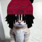 tjfrmthehills's profile picture