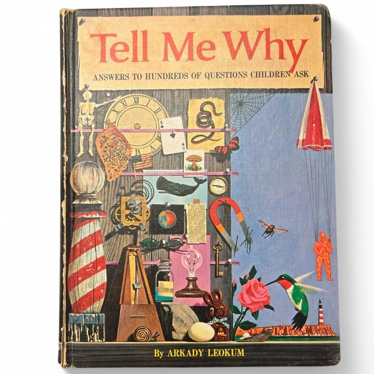 item listed by sonnysthriftyfinds