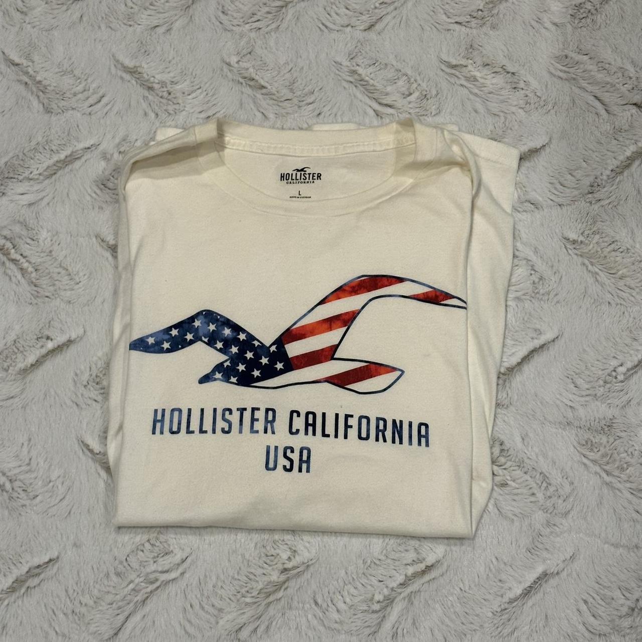 Hollister usa best sale