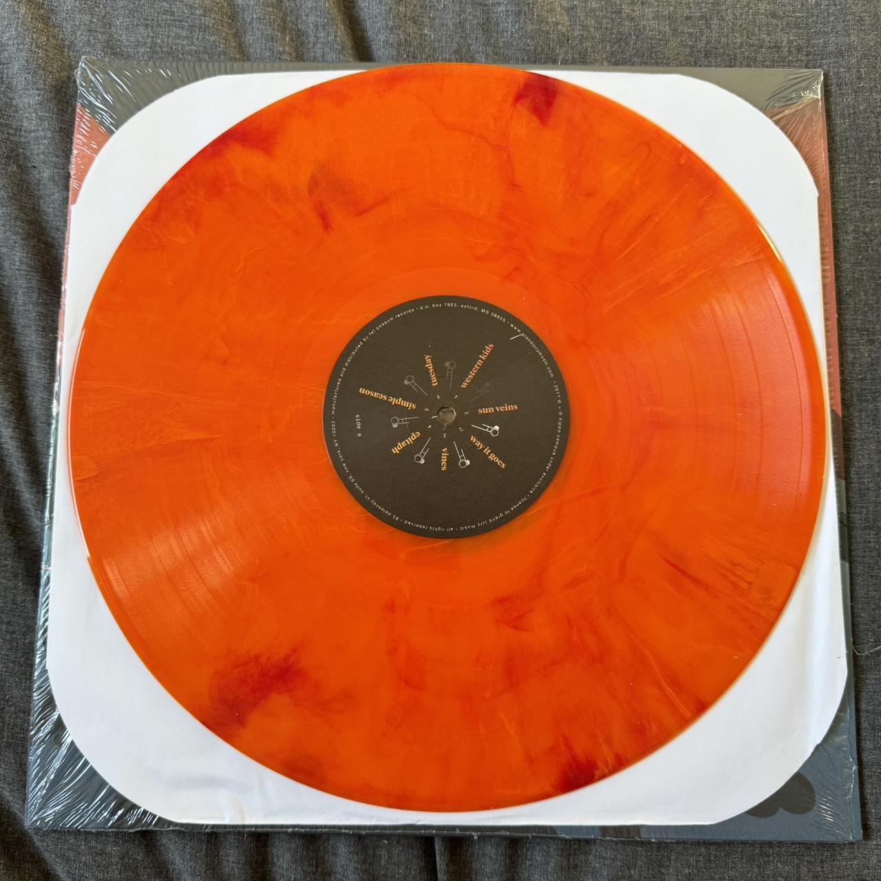 Hippo campus outlets landmark starburst vinyl