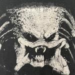 siftingstitchez's profile picture