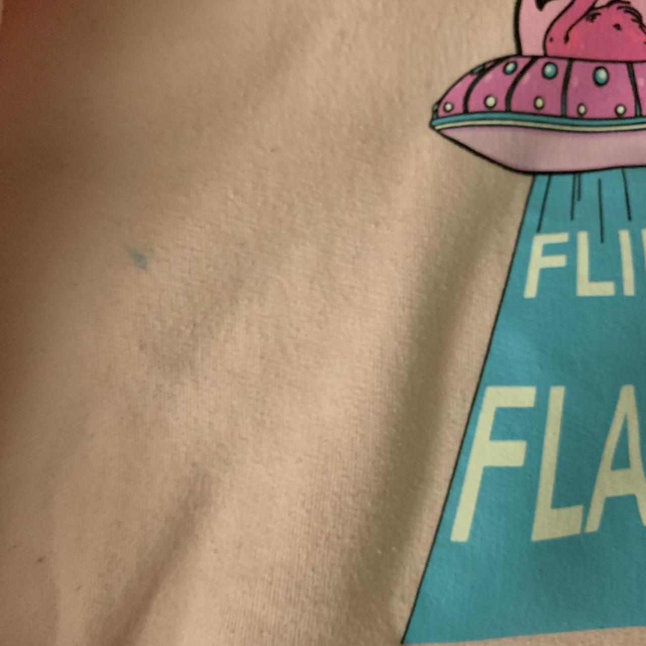 Albert Flamingo Merch 2020 FlimFlam Pink UFO Hoodie... - Depop