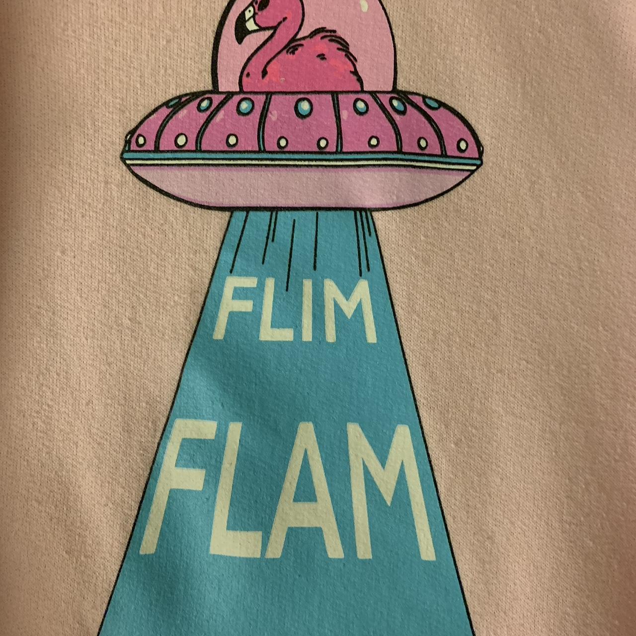 Albert Flamingo Merch 2020 FlimFlam Pink UFO Hoodie... - Depop