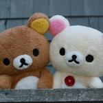 lovminiv's profile picture