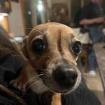 whoismolly's profile picture