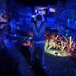 cmehtaverse's profile picture
