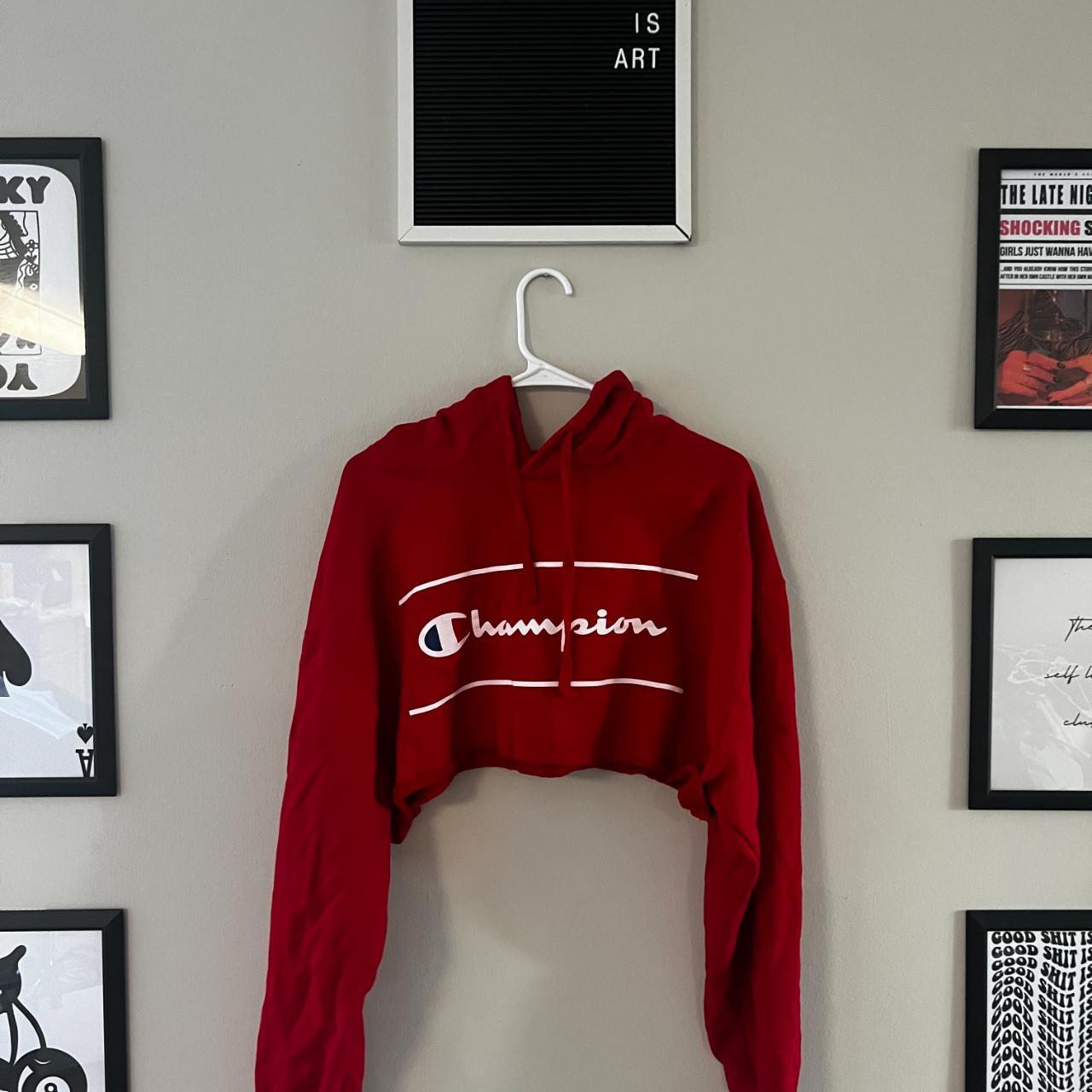 Red champion hot sale hoodie cropped