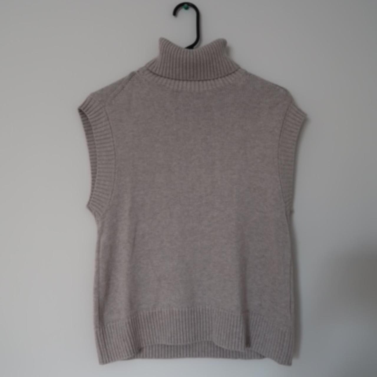 Everlane on sale sleeveless turtleneck