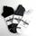 item listed by iinxght