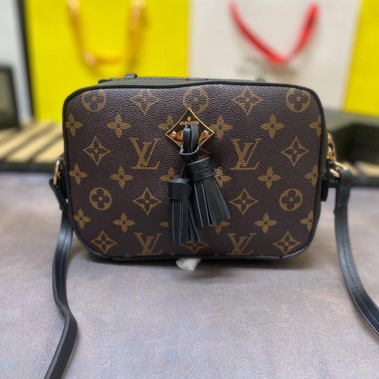 Louis Vuitton bag Comes with dust bag #louisvuitton... - Depop