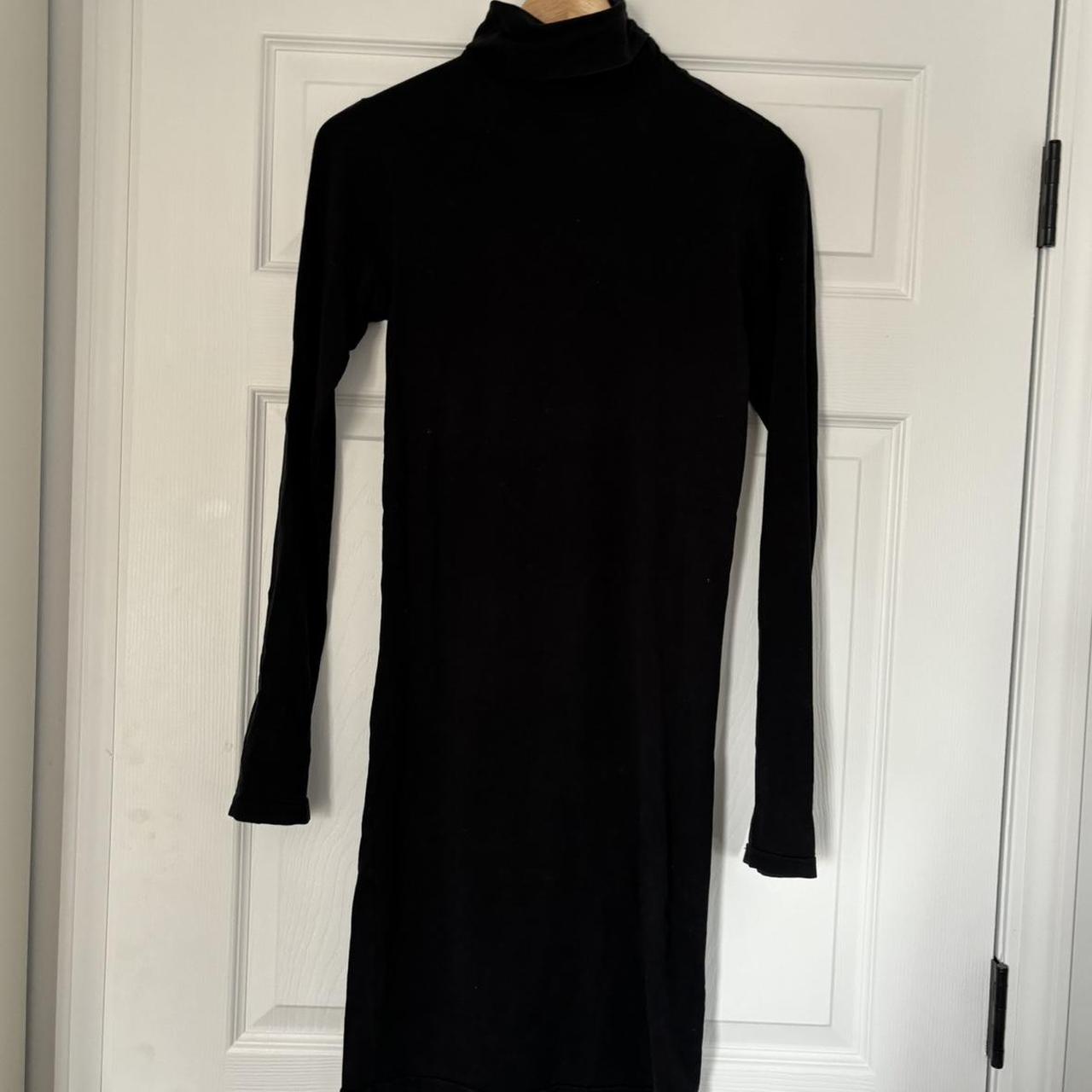 American Apparel Turtleneck Dress