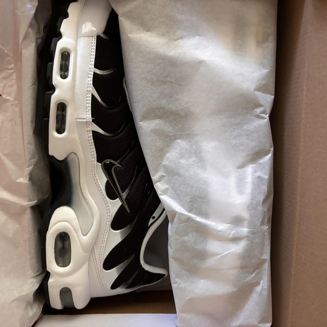 tn killer whale foot locker