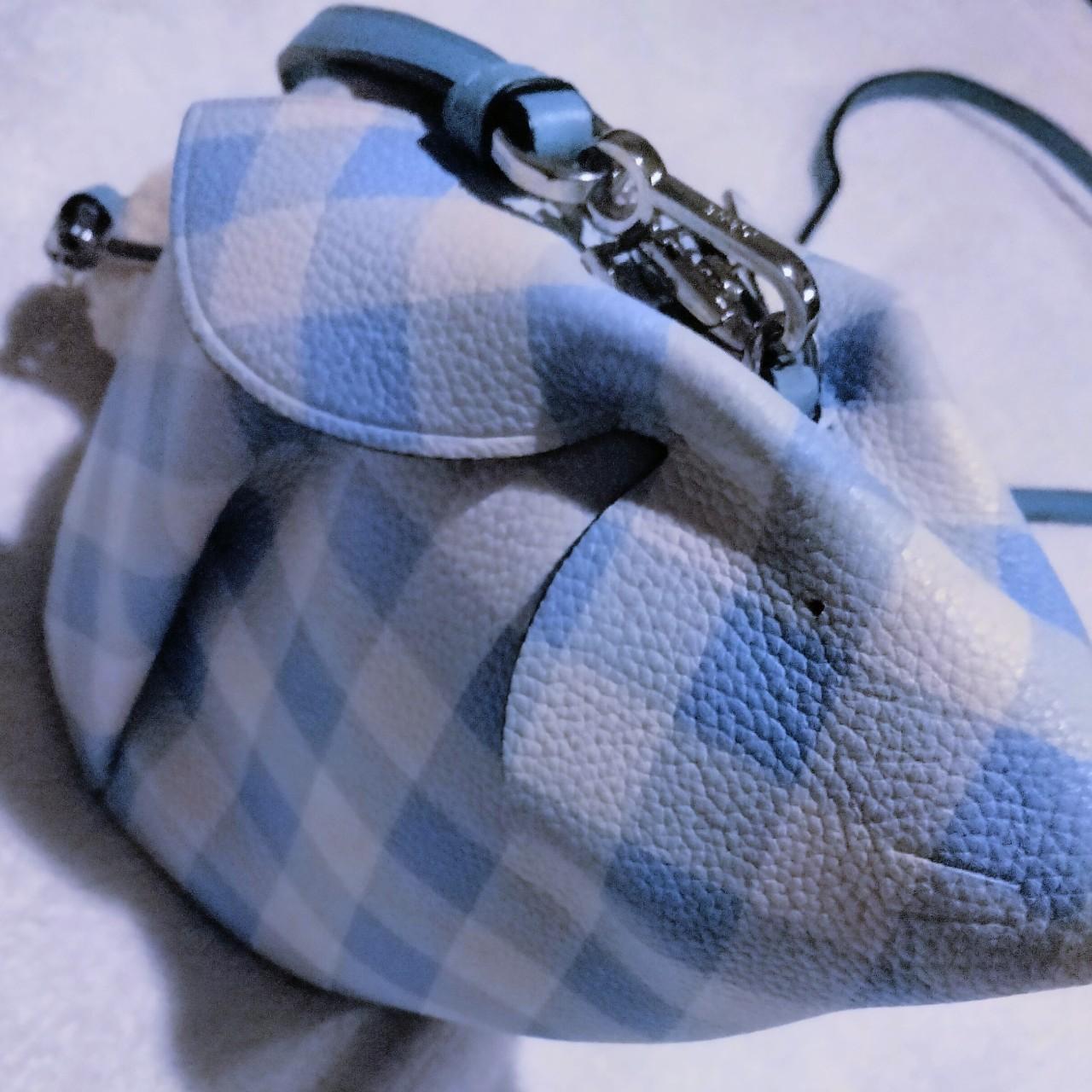 Loewe gingham discount bunny bag