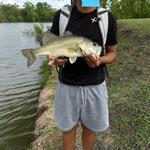 zacwer's profile picture