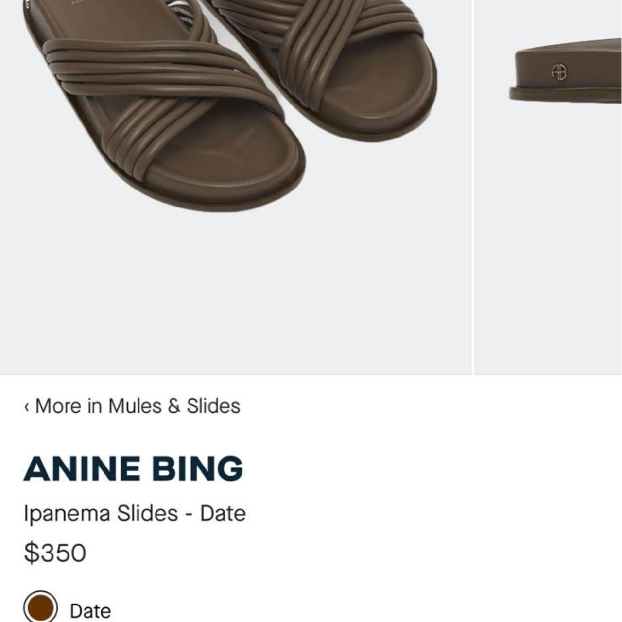 Anine Bing Ipanema Slides Size 8 Lightly worn Depop