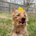 retro_onthe_go's profile picture