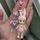 item listed by allyssanastasia