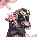 anabananabread3's profile picture