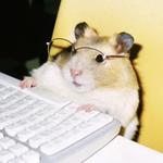 00ips3's profile picture
