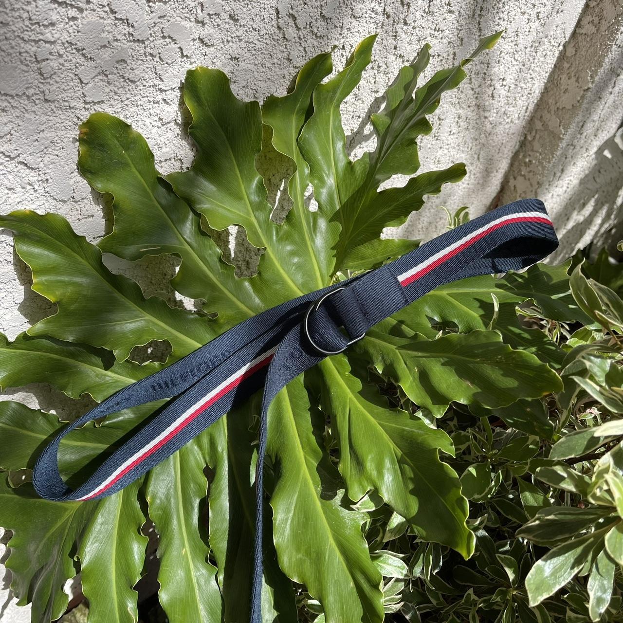 tommy hilfiger d ring buckle belt, iconic tommy