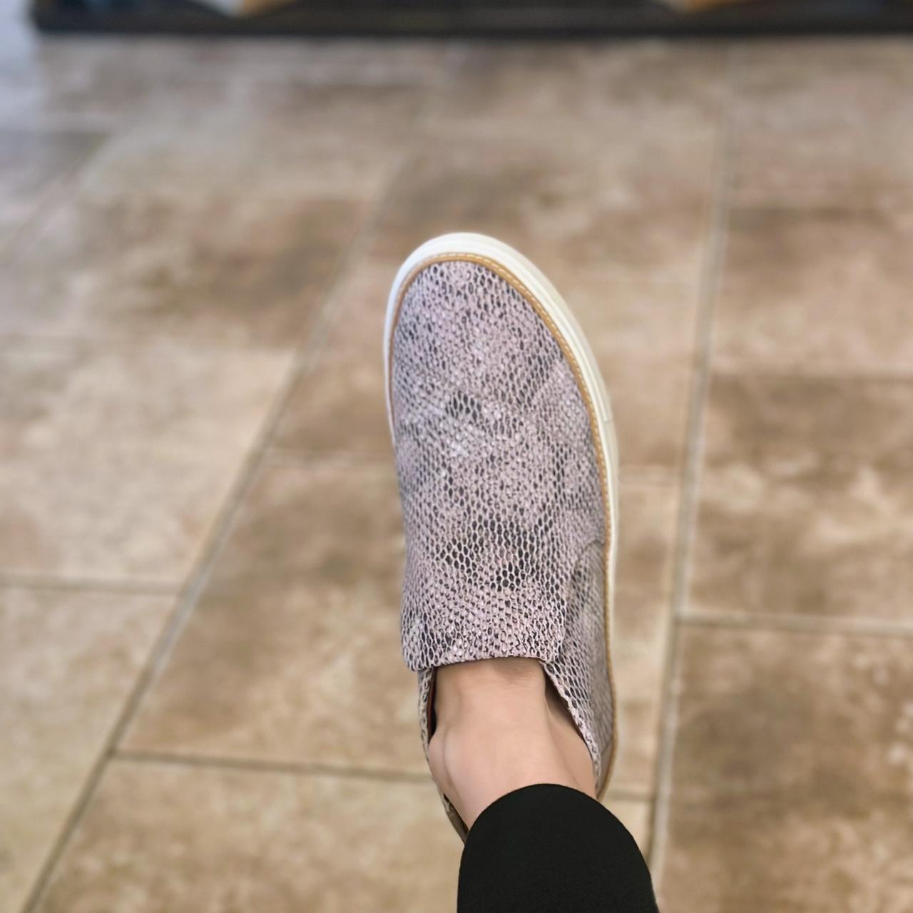 toms paxton sneakers