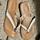 item listed by kyleigh0224