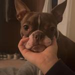 kenson_maynor's profile picture