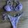 item listed by confessionsofashoppaholique