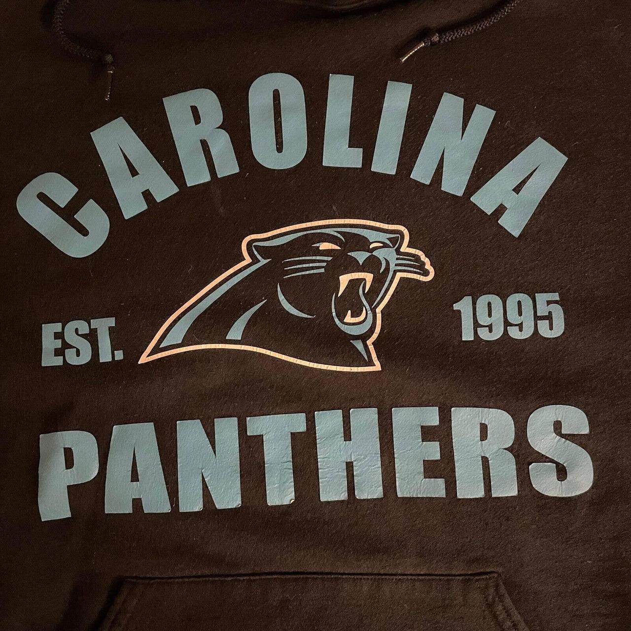 vintage Carolina Panthers sweater on a old fruit of - Depop