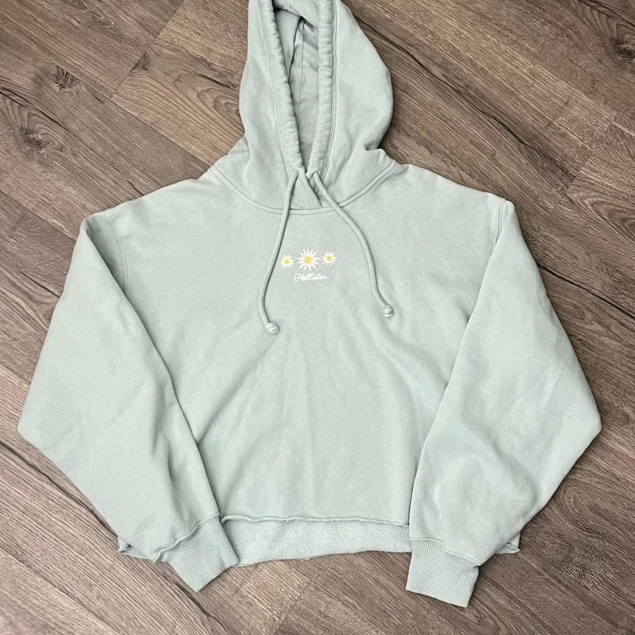 Hooded Sweatshirt Hollister Crop Top Hoodie Hollister Hoodie Crop