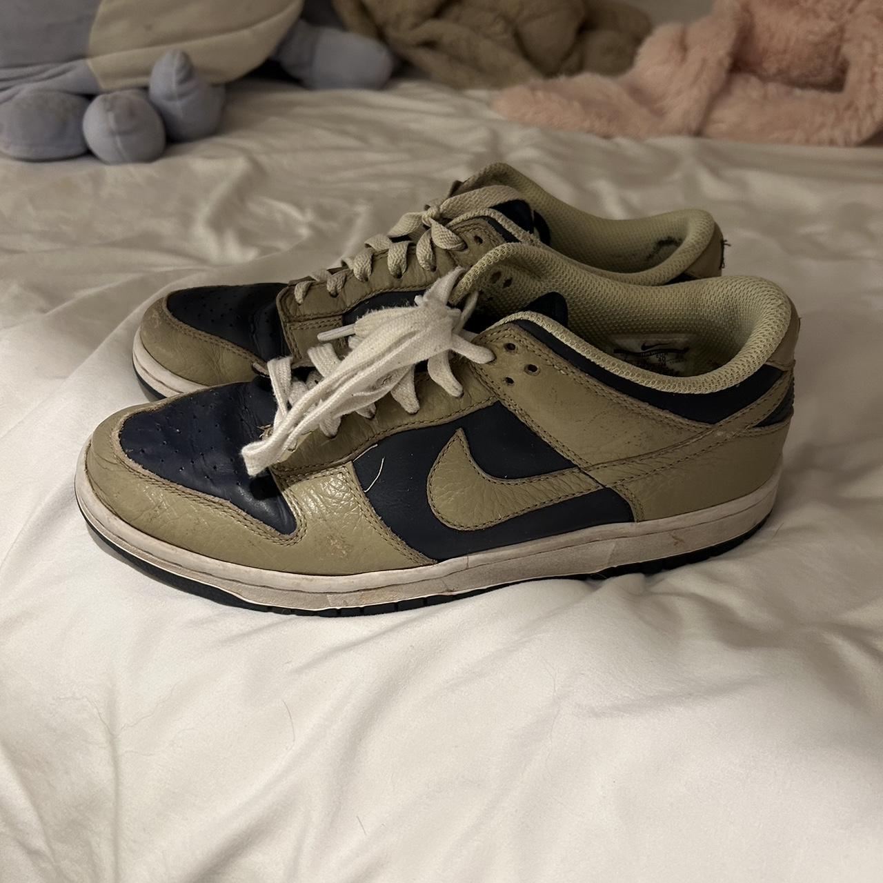 retail nike dunks